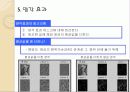 Matlab을 이용한 이미지 필터링과 음파 분석 21페이지
