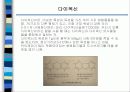 환경호르몬ppt 9페이지