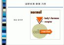 환경호르몬ppt 11페이지