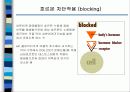 환경호르몬ppt 13페이지