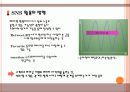참이슬의 소셜네트워크 SNS 트위터를통한 마케팅사례전략 6페이지
