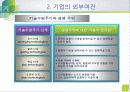 전략수립의 외부요소-환경 7페이지