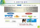 전략수립의 외부요소-환경 16페이지