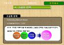 MCM 마케팅전략기획서 21페이지