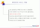 테라휴먼파워 IP CP 서비스 11페이지