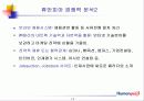 테라휴먼파워 IP CP 서비스 13페이지