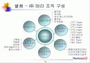 테라휴먼파워 IP CP 서비스 23페이지