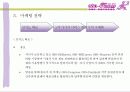 080 꽃배달 서비스 제안서 17페이지