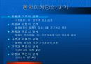 통합마케팅 활용전략 8페이지