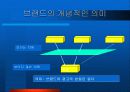 통합마케팅 활용전략 12페이지