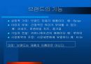 통합마케팅 활용전략 13페이지