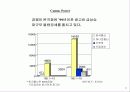 광고기획서(IT) 9페이지