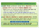 푸른농촌 희망찾기운동 추진현황 9페이지