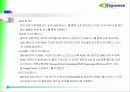 ATM 기반 DSLAM 운용 22페이지