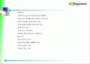 ATM 기반 DSLAM 운용 27페이지