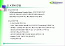 ATM 기반 DSLAM 운용 31페이지