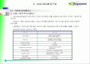 ATM 기반 DSLAM 운용 61페이지