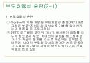 부모교육프로그램 13페이지