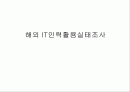 해외 IT인력활용실태조사 1페이지