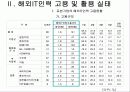 해외 IT인력활용실태조사 5페이지
