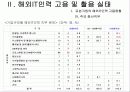해외 IT인력활용실태조사 13페이지