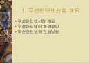 Ⅴ. WAP 시장동향 및 전망 3페이지