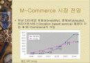 Ⅴ. WAP 시장동향 및 전망 21페이지