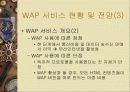 Ⅴ. WAP 시장동향 및 전망 25페이지