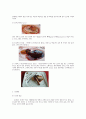 프랑스에 대한 조사 16페이지