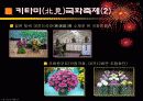성공적인 축제들과 그 교훈 12페이지