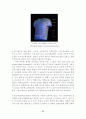 스마트 섬유 기술조사 보고서 38페이지