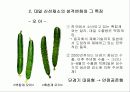 우리나라 수출농업의 현황과 문제점 9페이지