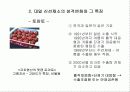 우리나라 수출농업의 현황과 문제점 16페이지