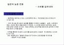 우리나라 수출농업의 현황과 문제점 40페이지