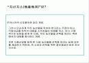 우리나라 수출농업의 현황과 문제점 44페이지