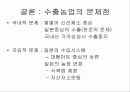 우리나라 수출농업의 현황과 문제점 51페이지