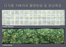 디지털카메라 개발현황 11페이지