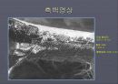 디지털카메라 개발현황 20페이지