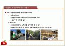 사과전문지도연구회발표자료 교육 사례발표(네덜란드 기술연수) 19페이지