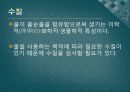 4조 발표자료[1].[3] 29페이지