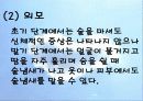 사회문제론-알코올중독 26페이지