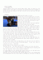 일반 사이버 범죄에 관한 연구 12페이지