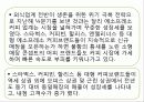 할리스커피 해외진출 성공사례 20페이지