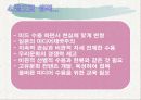 미.드열풍 15페이지