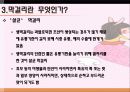 막걸리열풍 11페이지