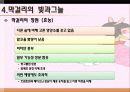 막걸리열풍 16페이지