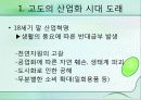 그린마케팅 12페이지