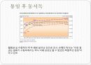 서독의 통일 외교 정책의현황과 과제 12페이지