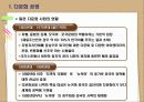 일본의 다문화 사회 5페이지