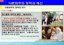 호주의 다문화주의와 이민 26페이지